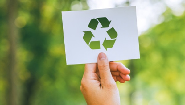 Sustentabilidade: como escolhas conscientes estão moldando o futuro