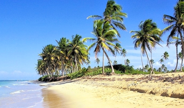 Praias do Nordeste: descubra os paraísos mais bonitos do Brasil